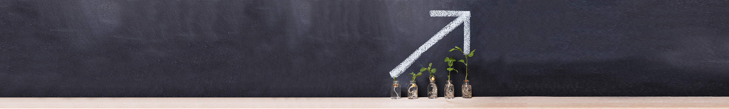 GROW-YOUR-WEALTH-SLIDER