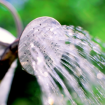 Can California’s Water Cuts Increase Economic Viability of Hydroponic Crops?